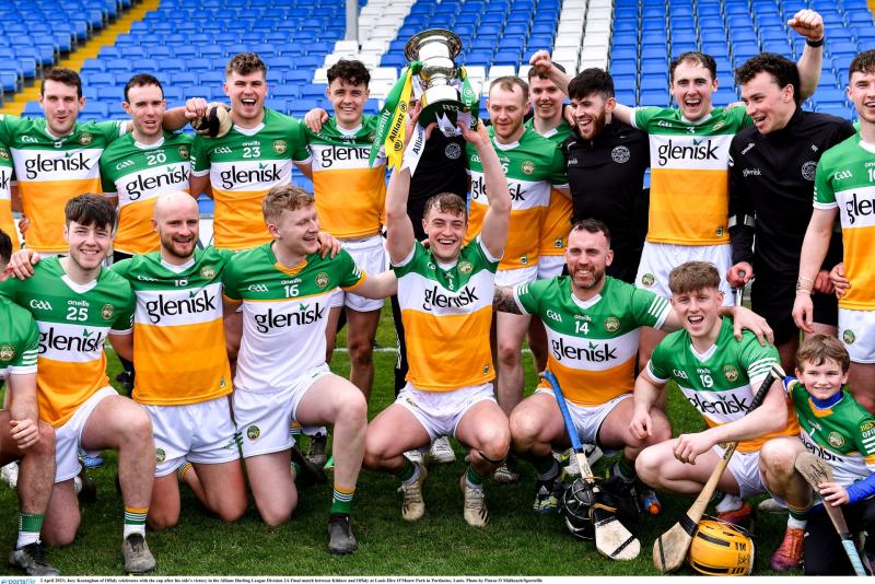 Promotion back to Leinster SHC would serve Offaly very well