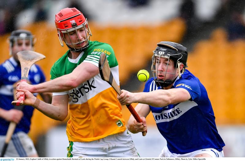GET VOTING: Offaly player nominated for GAA Hurler of the Week