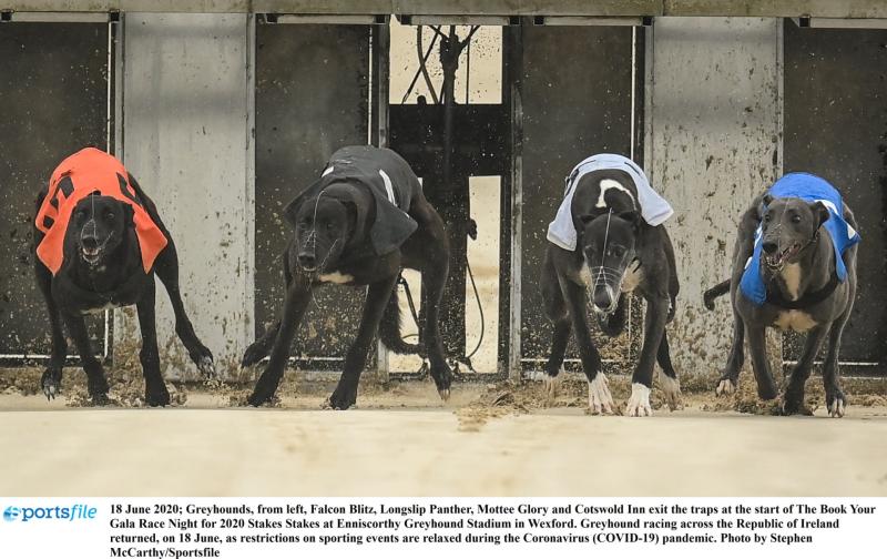 Gone to the dogs: Twelve Offaly winners