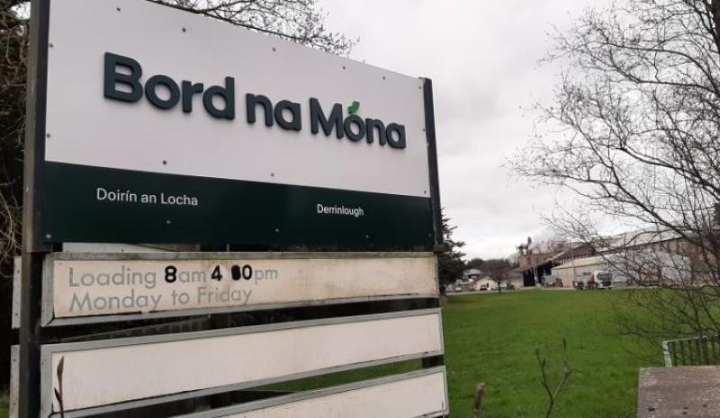 Cowen welcomes Bord na Mona commitment on Derrinlough Briquette Factory