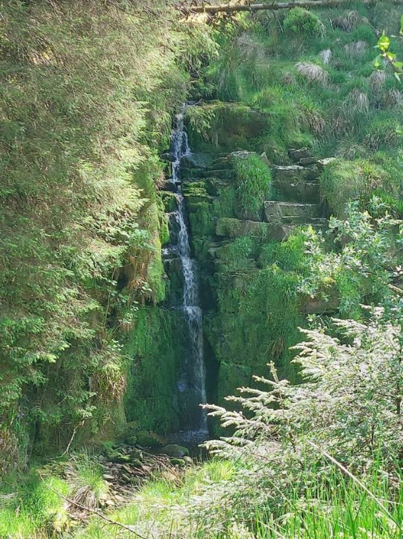 OPINION (AN COLÚN): A hidden gem in the Slieve Bloom hills