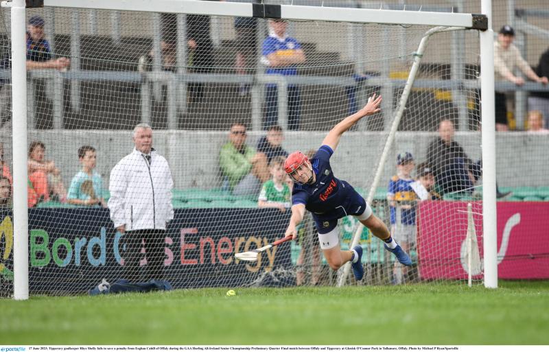 No hiding place for Offaly as flying Tipp lay down marker of intent
