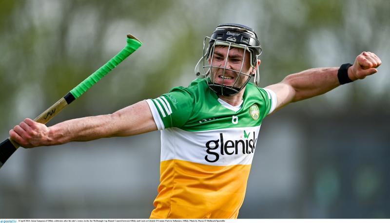The man behind the wire: End of season leaves Offaly hurling world under no illusions about long road ahead