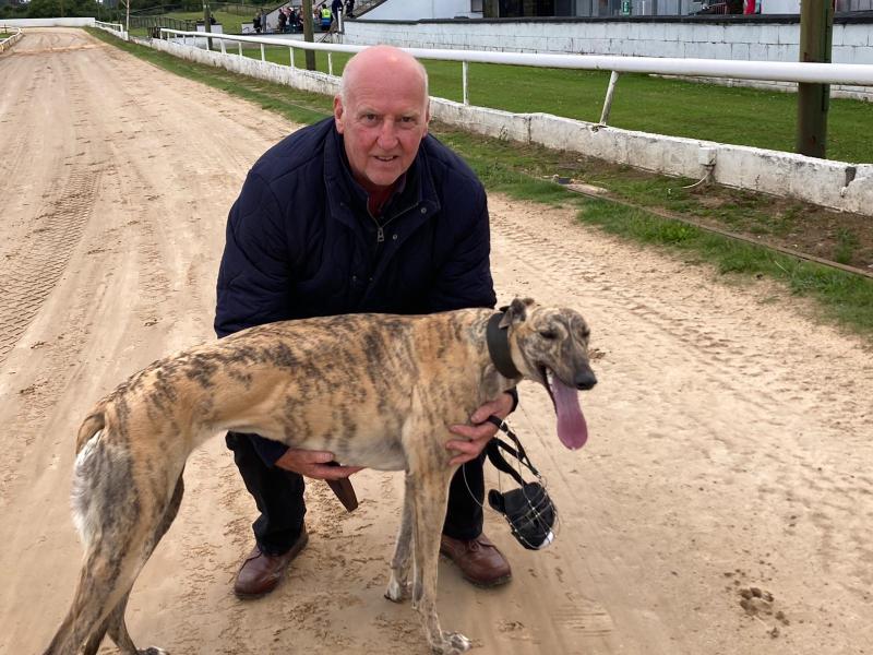 Gone to the dogs: Big win for Offaly bred greyhound