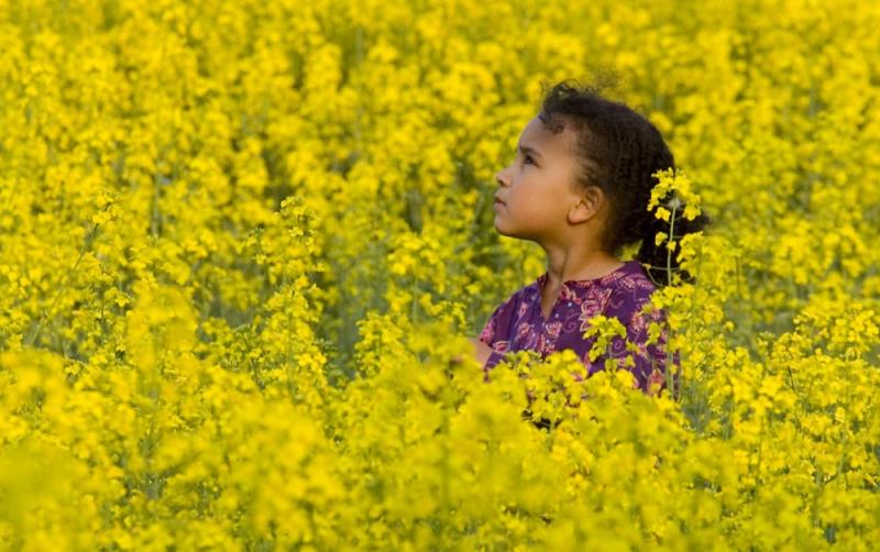 GUIDE: How to prepare for Ireland’s high-level pollen count