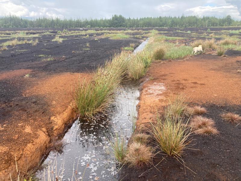 Deposits of bog iron ore discovered on Offaly bog