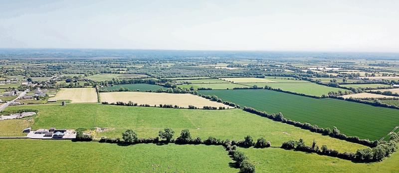 Forty-eight acres of top quality limestone land in Offaly going up for auction