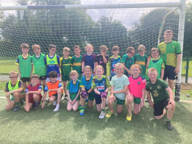 Offaly GAA Clubs face difficult decision on underage championship structures