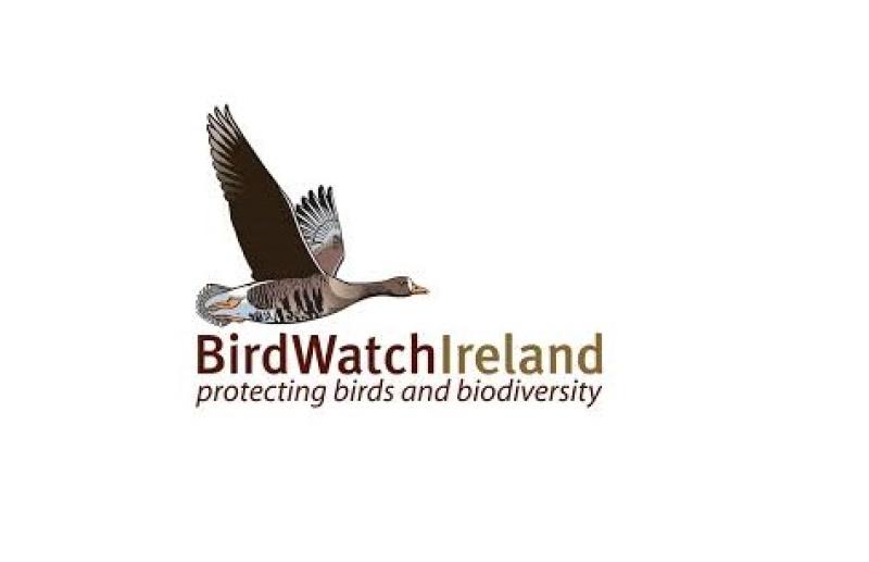 BirdWatch Ireland 