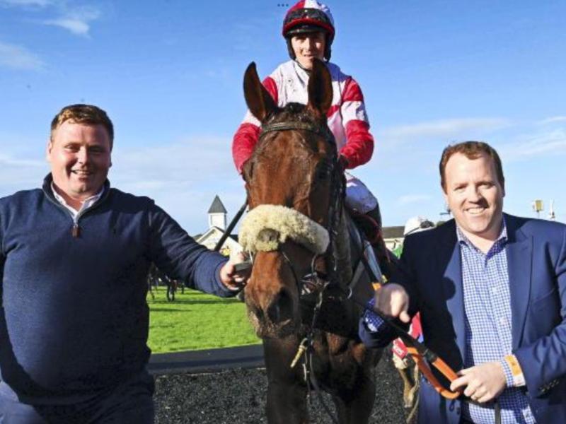 Tragic news for  Offaly owned  horse