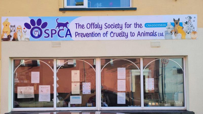 Offaly SPCA draws up closure plans amid volunteer shortage