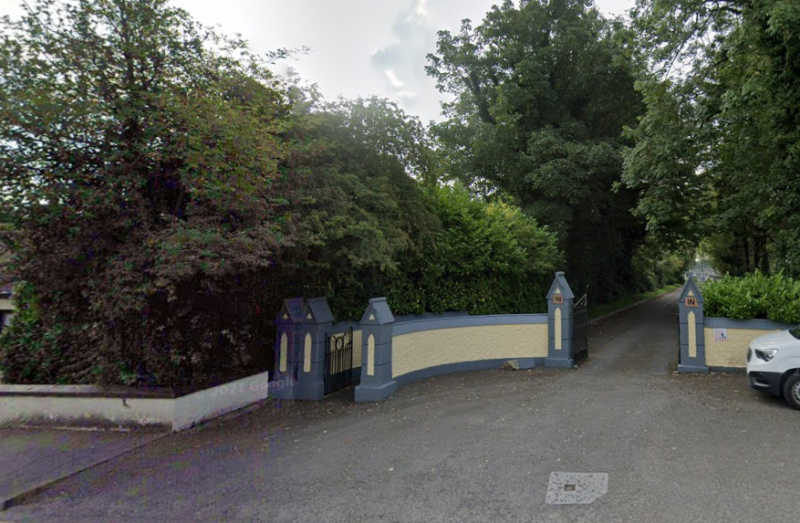 'A total disgrace' - Anger and distress over dogs fouling on graves in Offaly town