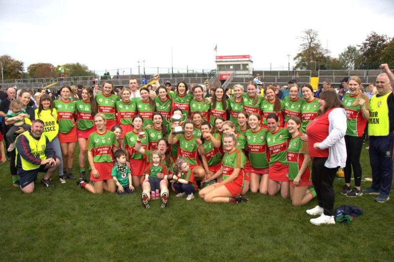 St Vincent's have far too much firepower for gallant Birr