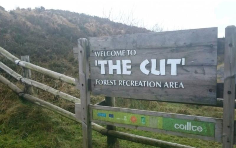 'Easy to miss' Laois leisure spot's viral signpost has been replaced