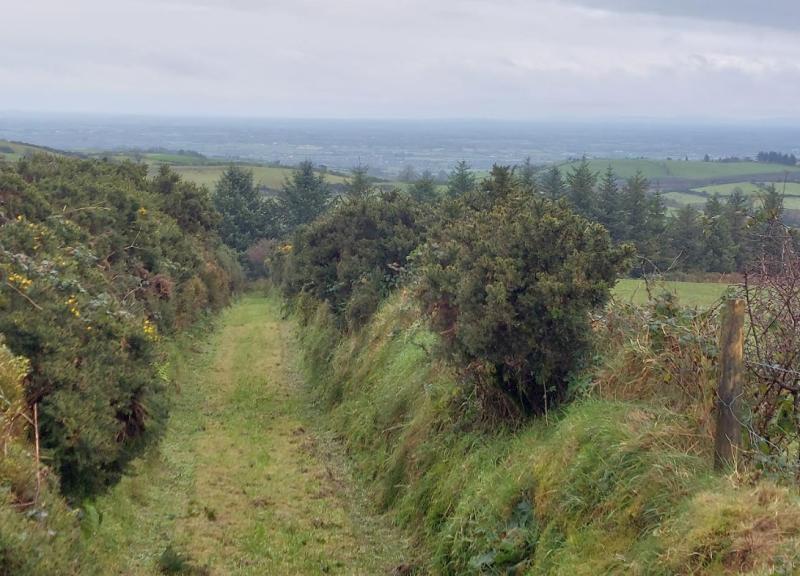 OPINION (AN COLÚN): In the footsteps of hedge school masters and a raparee