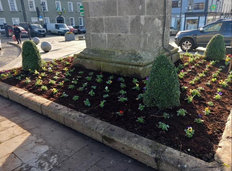 Birr Tidy Towns aiming for Gold Medal in 2024