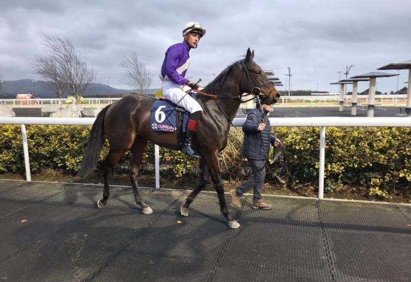 Offaly horse racing success at Dundalk for Tarsus