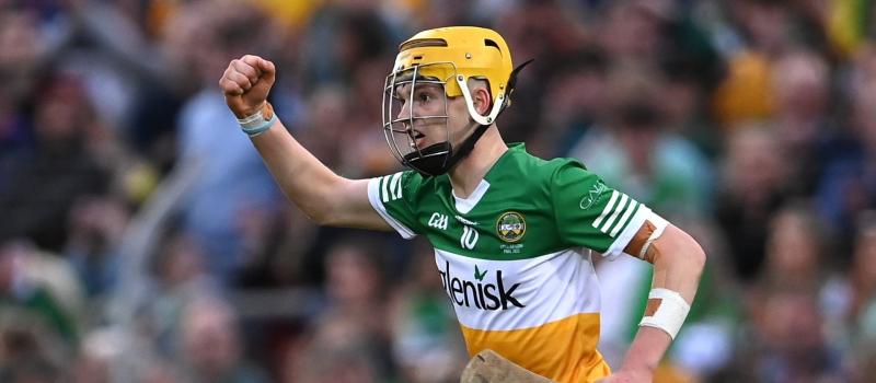 Team announced as Offaly hurlers search for early season form in Walsh Cup