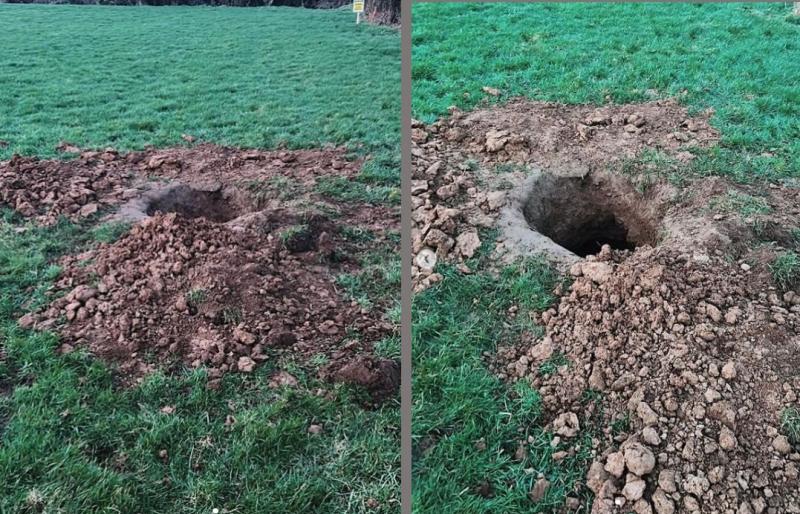 Gardai appeal for witnesses following 'Badger baiting' incident at rural location