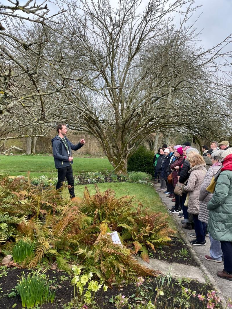 George Cunningham and Paul Smyth help Bellefield in Shinrone to blossom