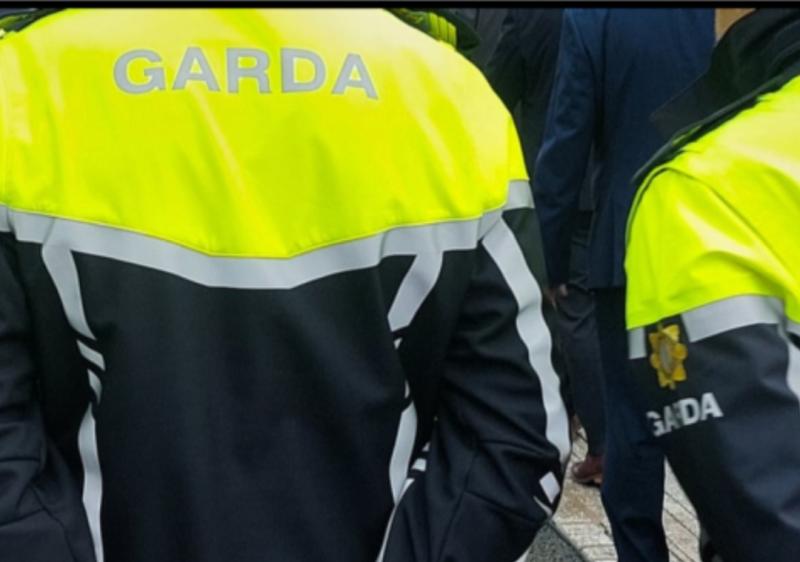 Girl (6) injured in Midlands crash does in hospital as gardai make urgent appeal