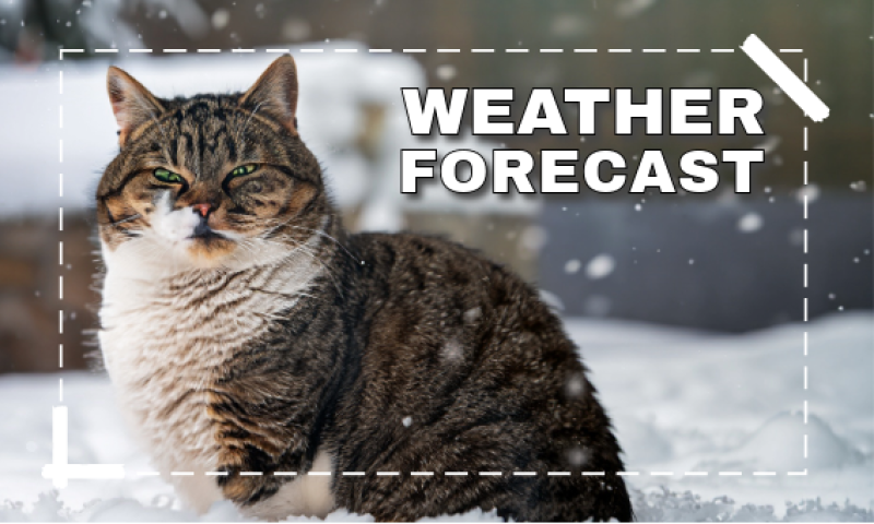 Met Éireann snow prediction for Ireland amid new Polar weather blast