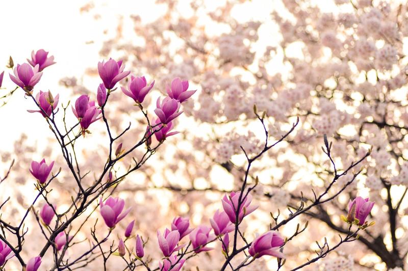 Returning to Wellbeing this Spring - Emma Coonan