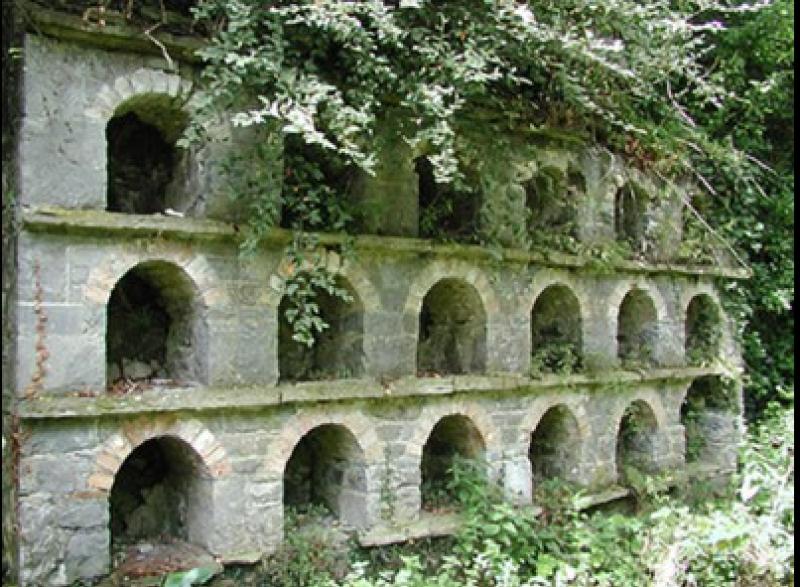 Internationally important heritage site in Ballingarry needs protection 