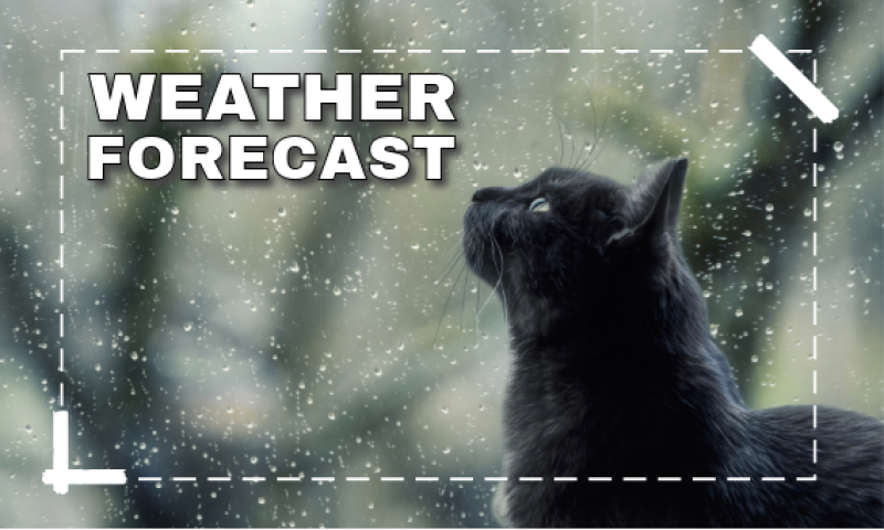 Met Eireann weather forecast for Ireland for the weekend with rain in the forecast