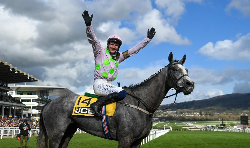 LIVE: Cheltenham Day 1 tips, results, reaction and highlights 