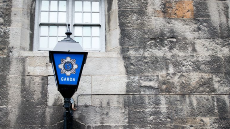 Guns seized as man and woman are injured in Offaly incident