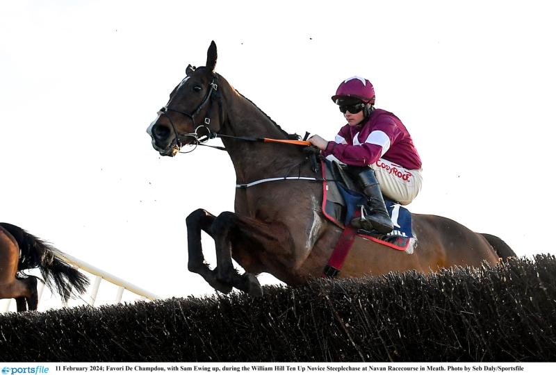 Irish Grand National Tips: 16/1 shot could steal the show at Fairyhouse 