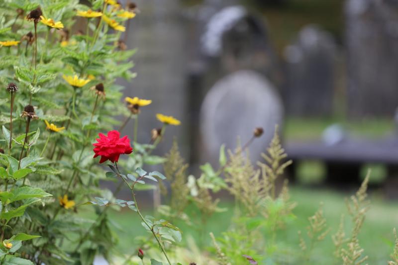 Public meeting to explore setting up a graveyard committee in Offaly village