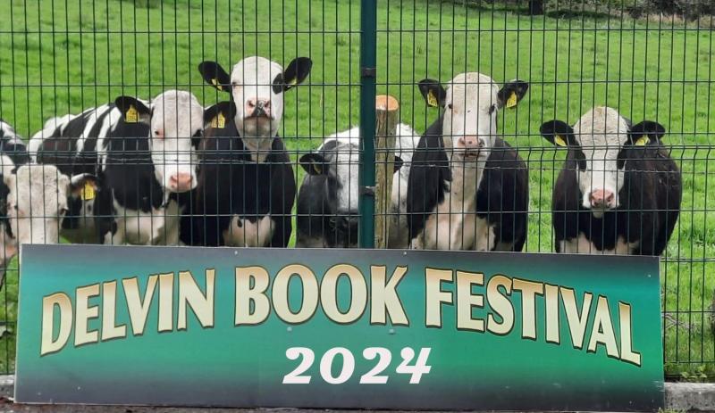 Come along to the Delvin Book Festival this May Bank Holiday weekend