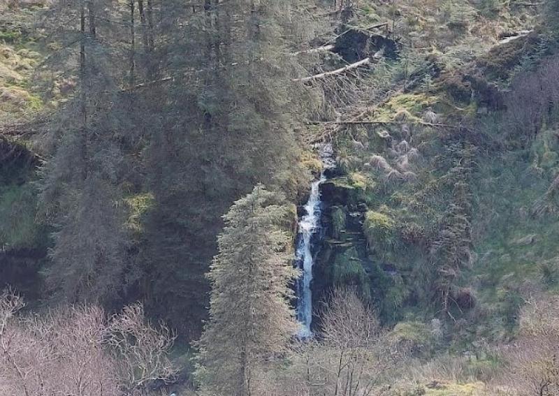 OPINION (AN COLÚN): Walking to a forgotten waterfall hidden in a great forest in the Slieve Bloom Mountains