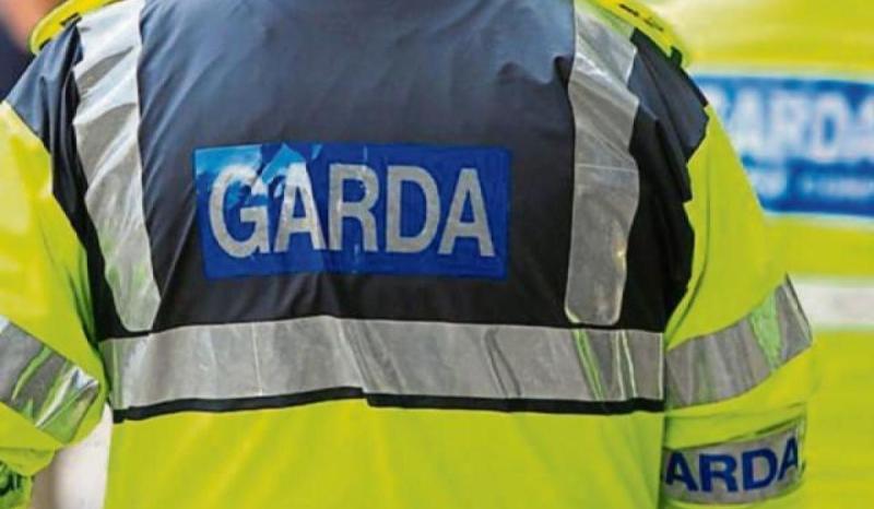 Man arrested as Garda&iacute; investigate fire in Dublin