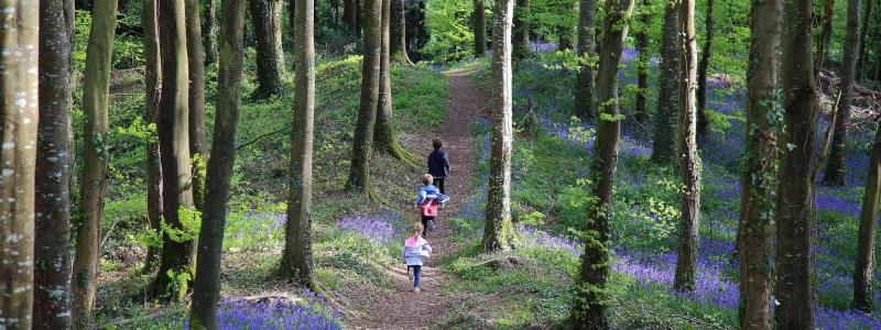 Offaly to play host to long running walking festival next weekend