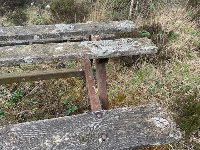Local election candidate slams failure to maintain Lough Boora Discovery Park
