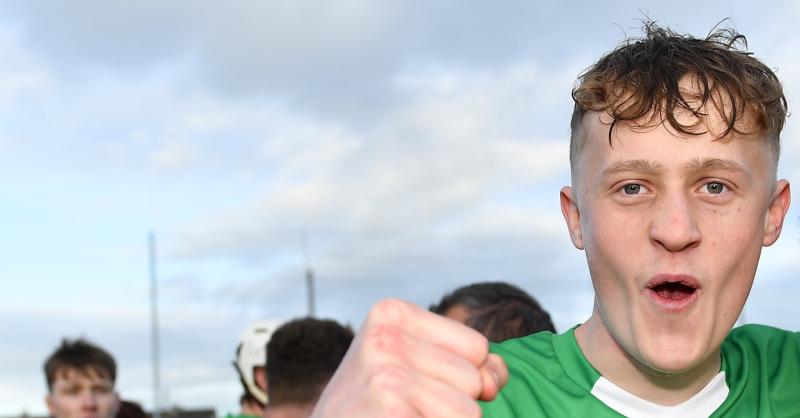 Rampant Offaly send Laois packing with thrilling champagne hurling