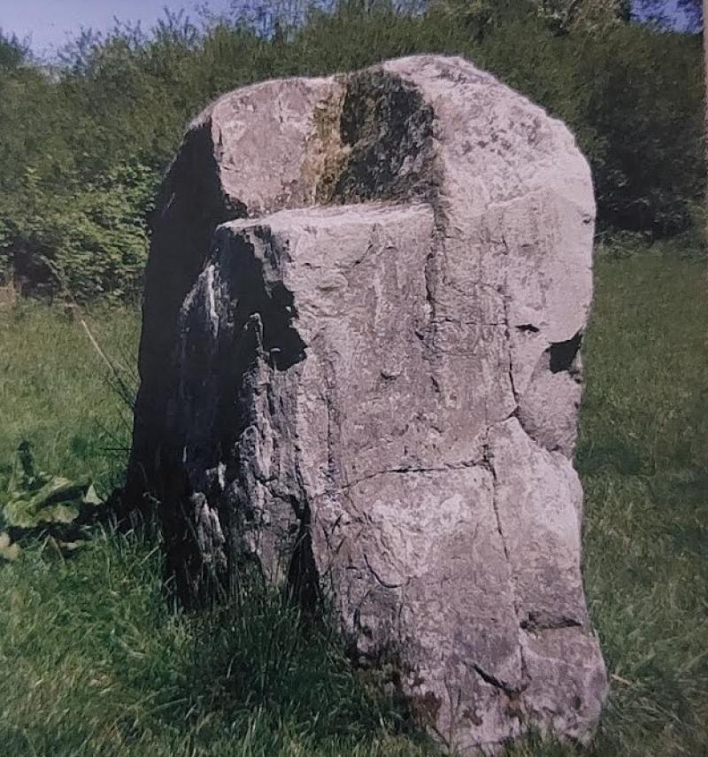 fiddler's stone slieve blooms