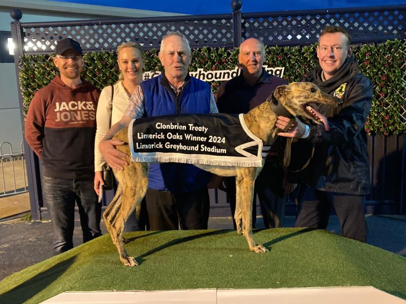 Gone to the dogs: Great win for Rhode owner