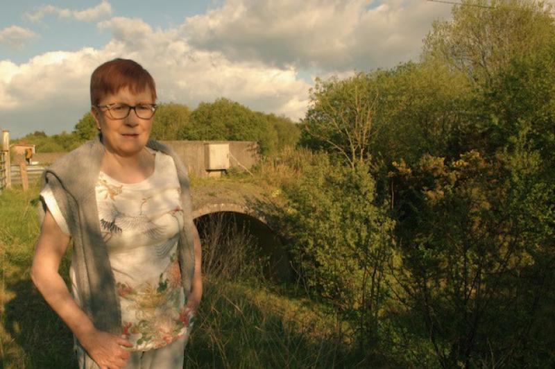 Secretive Bord Na M&oacute;na &lsquo;on the wrong track' says Barbara Daly