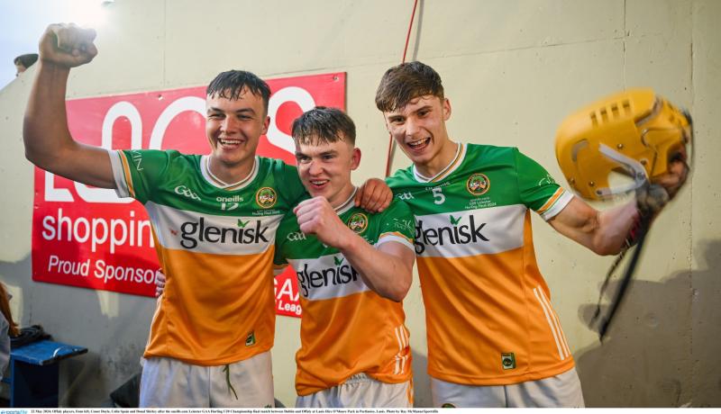 Tubber man blazing a trail for hurling in West Offaly