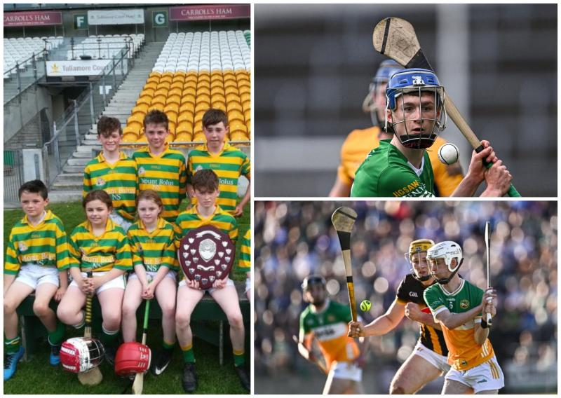 The day Offaly U20 hurling twins lit up Cumann na mBunsol scoring 4-15 between them