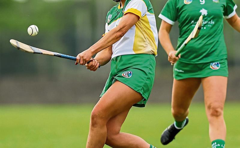 Offaly Camogie given green light for major development