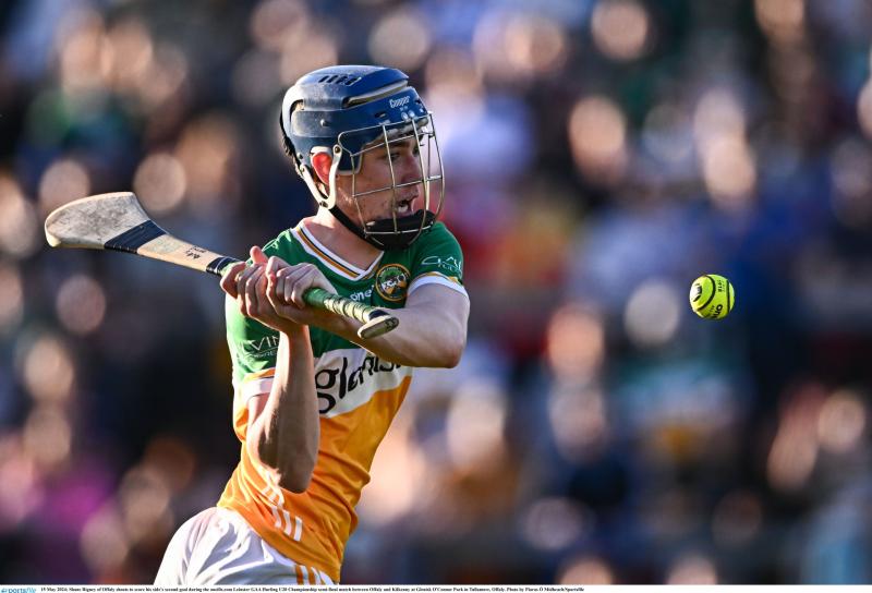 WATCH: vital garda information for Offaly fans to avoid roadworks on way to Nowlan Park
