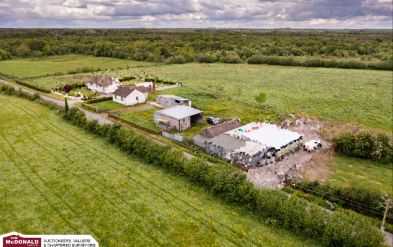 Residential farm in Offaly going up for auction in four lots this month