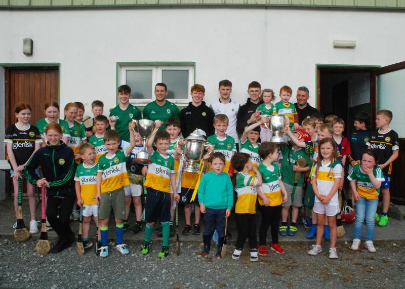 Offaly GAA club hosts celebratory event to welcome Offaly hurling trophies