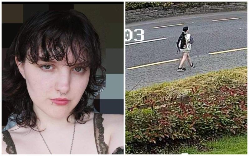 ALERT: Gardaí and family concerned for missing teenager Caérie
