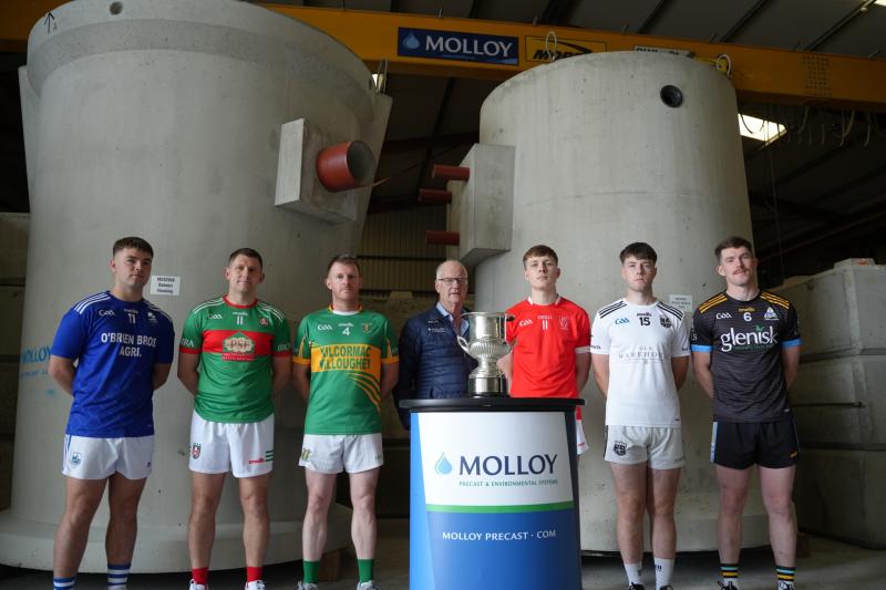 Offaly Senior “B” Hurling Championship teams profiled